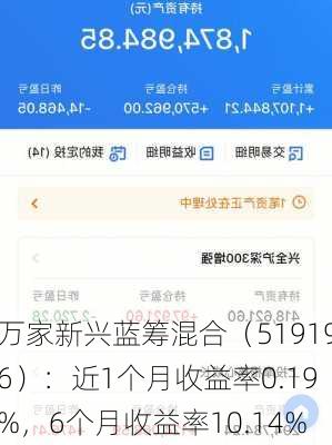 万家新兴蓝筹混合（519196）：近1个月收益率0.19%，6个月收益率10.14%-第1张图片-苏希特新能源