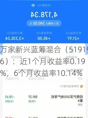 万家新兴蓝筹混合（519196）：近1个月收益率0.19%，6个月收益率10.14%-第2张图片-苏希特新能源