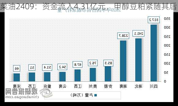 菜油2409：资金流入4.31亿元，甲醇豆粕紧随其后-第1张图片-苏希特新能源