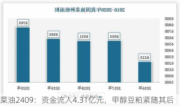 菜油2409：资金流入4.31亿元，甲醇豆粕紧随其后-第2张图片-苏希特新能源