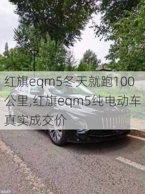 红旗eqm5冬天就跑100公里,红旗eqm5纯电动车真实成交价-第3张图片-苏希特新能源