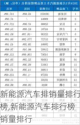 新能源汽车排销量排行榜,新能源汽车排行榜销量排行-第2张图片-苏希特新能源