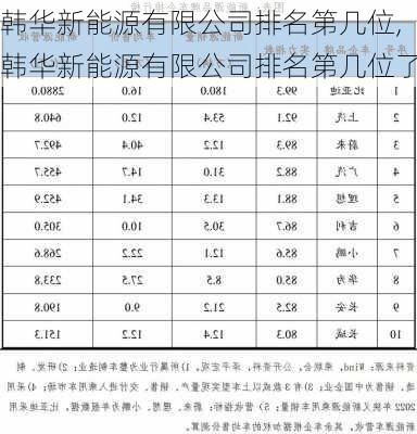 韩华新能源有限公司排名第几位,韩华新能源有限公司排名第几位了-第1张图片-苏希特新能源