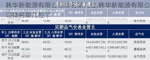 韩华新能源有限公司排名第几位,韩华新能源有限公司排名第几位了-第2张图片-苏希特新能源