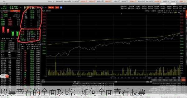 股票查看的全面攻略：如何全面查看股票