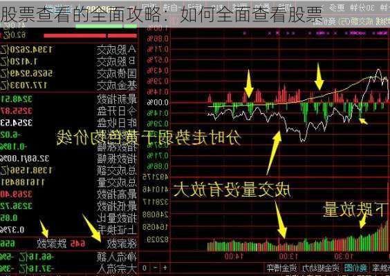 股票查看的全面攻略：如何全面查看股票-第2张图片-苏希特新能源