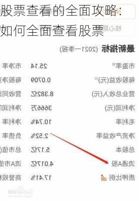 股票查看的全面攻略：如何全面查看股票-第3张图片-苏希特新能源