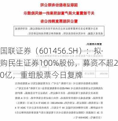 国联证券（601456.SH）：拟购民生证券100%股份，募资不超20亿，重组股票今日复牌-第1张图片-苏希特新能源