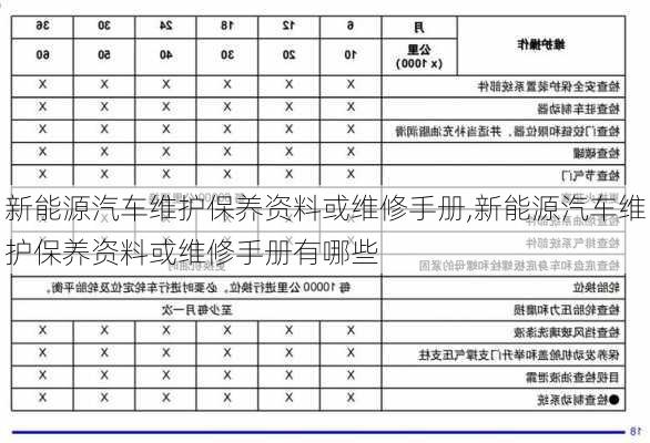 新能源汽车维护保养资料或维修手册,新能源汽车维护保养资料或维修手册有哪些-第1张图片-苏希特新能源