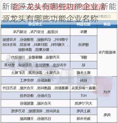 新能源龙头有哪些功能企业,新能源龙头有哪些功能企业名称-第1张图片-苏希特新能源