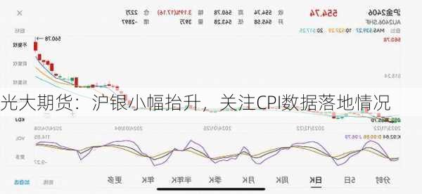 光大期货：沪银小幅抬升，关注CPI数据落地情况-第1张图片-苏希特新能源