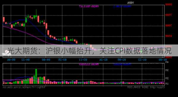 光大期货：沪银小幅抬升，关注CPI数据落地情况-第2张图片-苏希特新能源