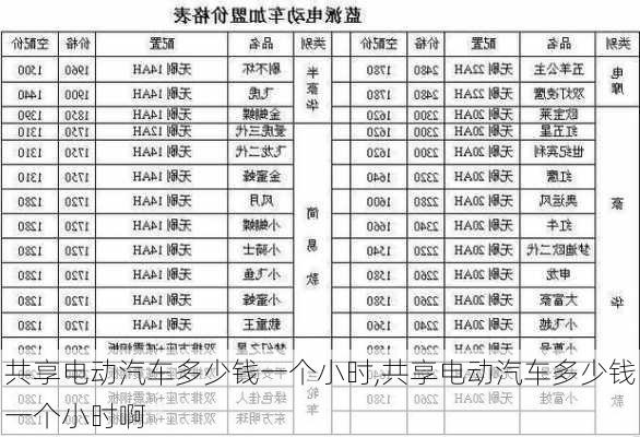 共享电动汽车多少钱一个小时,共享电动汽车多少钱一个小时啊-第2张图片-苏希特新能源