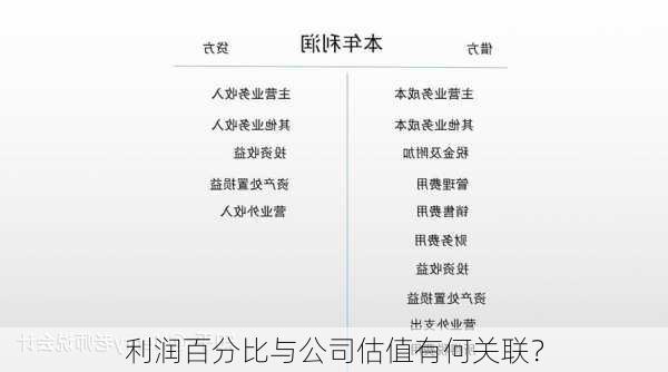 利润百分比与公司估值有何关联？-第1张图片-苏希特新能源