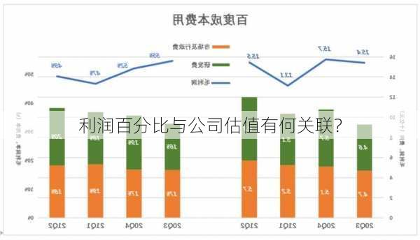 利润百分比与公司估值有何关联？-第2张图片-苏希特新能源