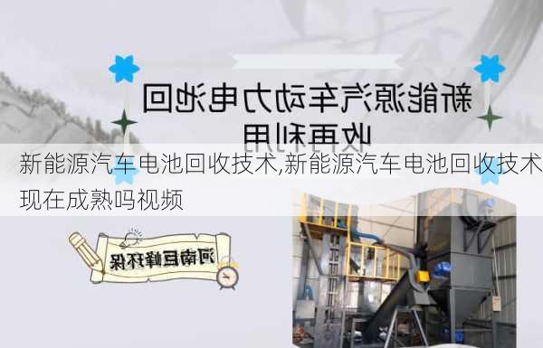 新能源汽车电池回收技术,新能源汽车电池回收技术现在成熟吗视频-第1张图片-苏希特新能源