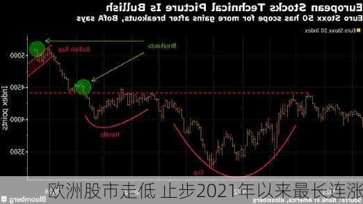 欧洲股市走低 止步2021年以来最长连涨-第2张图片-苏希特新能源