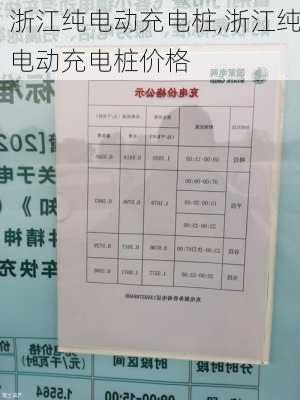 浙江纯电动充电桩,浙江纯电动充电桩价格-第1张图片-苏希特新能源