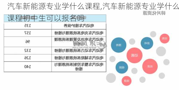 汽车新能源专业学什么课程,汽车新能源专业学什么课程初中生可以报名吗-第3张图片-苏希特新能源