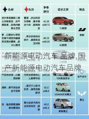 新能源电动汽车 品牌,国产新能源电动汽车品牌-第3张图片-苏希特新能源