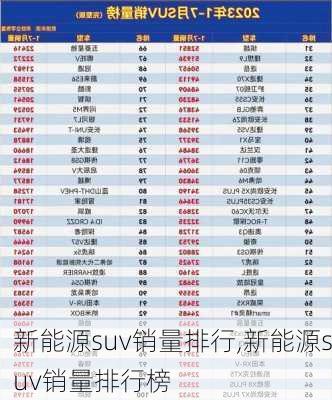 新能源suv销量排行,新能源suv销量排行榜-第3张图片-苏希特新能源