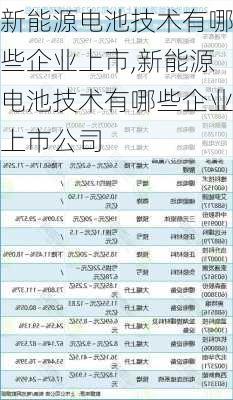 新能源电池技术有哪些企业上市,新能源电池技术有哪些企业上市公司-第3张图片-苏希特新能源