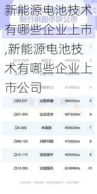 新能源电池技术有哪些企业上市,新能源电池技术有哪些企业上市公司