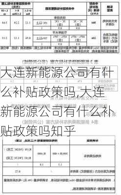 大连新能源公司有什么补贴政策吗,大连新能源公司有什么补贴政策吗知乎-第2张图片-苏希特新能源