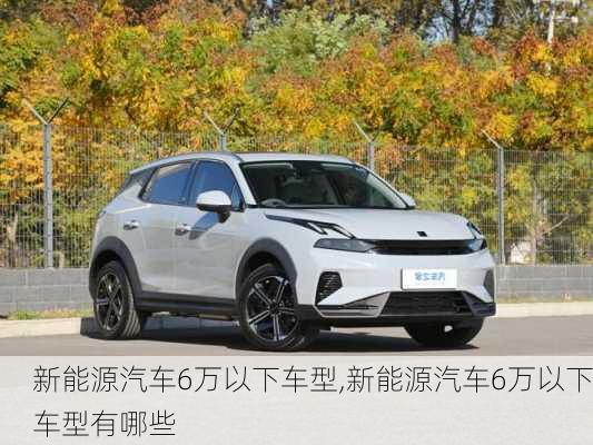 新能源汽车6万以下车型,新能源汽车6万以下车型有哪些-第2张图片-苏希特新能源