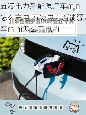 五凌电力新能源汽车mini怎么充电,五凌电力新能源汽车mini怎么充电的-第3张图片-苏希特新能源