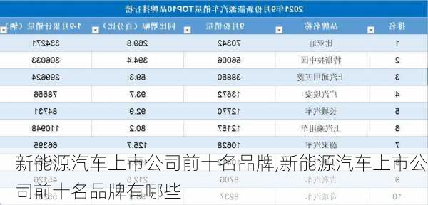 新能源汽车上市公司前十名品牌,新能源汽车上市公司前十名品牌有哪些-第2张图片-苏希特新能源