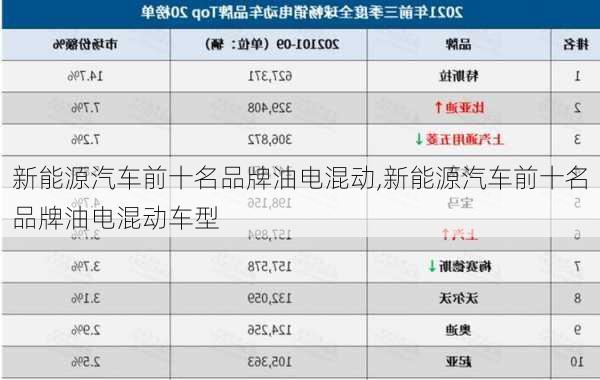 新能源汽车前十名品牌油电混动,新能源汽车前十名品牌油电混动车型-第3张图片-苏希特新能源