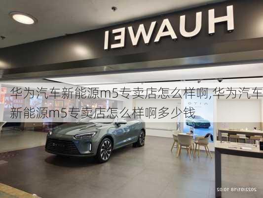 华为汽车新能源m5专卖店怎么样啊,华为汽车新能源m5专卖店怎么样啊多少钱-第3张图片-苏希特新能源