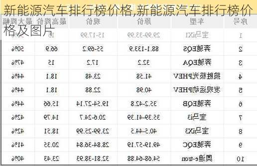 新能源汽车排行榜价格,新能源汽车排行榜价格及图片-第2张图片-苏希特新能源