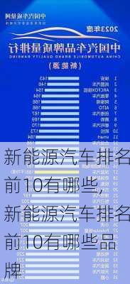 新能源汽车排名前10有哪些,新能源汽车排名前10有哪些品牌-第2张图片-苏希特新能源