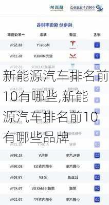 新能源汽车排名前10有哪些,新能源汽车排名前10有哪些品牌-第3张图片-苏希特新能源