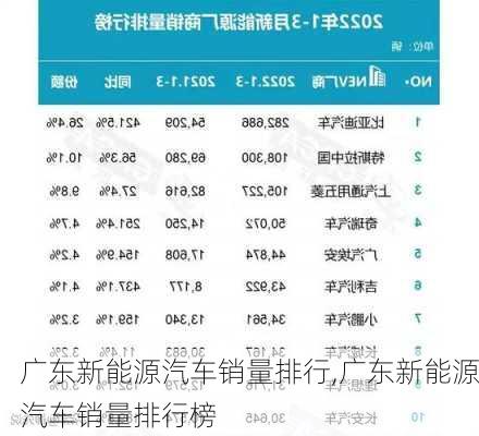 广东新能源汽车销量排行,广东新能源汽车销量排行榜