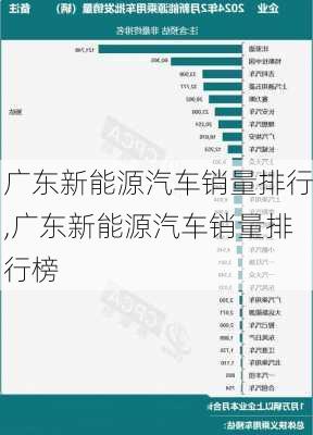 广东新能源汽车销量排行,广东新能源汽车销量排行榜-第2张图片-苏希特新能源