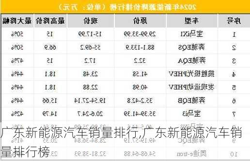 广东新能源汽车销量排行,广东新能源汽车销量排行榜-第3张图片-苏希特新能源