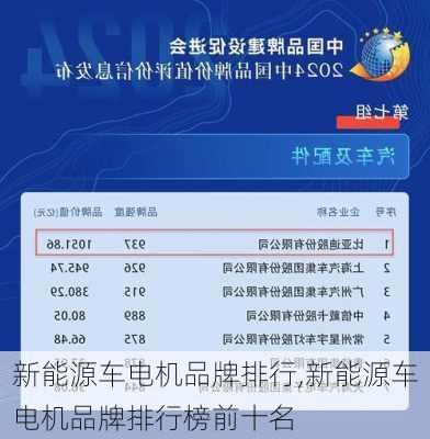 新能源车电机品牌排行,新能源车电机品牌排行榜前十名-第3张图片-苏希特新能源