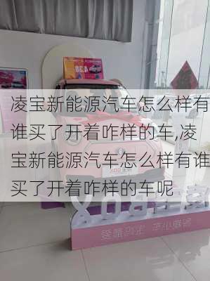 凌宝新能源汽车怎么样有谁买了开着咋样的车,凌宝新能源汽车怎么样有谁买了开着咋样的车呢-第2张图片-苏希特新能源