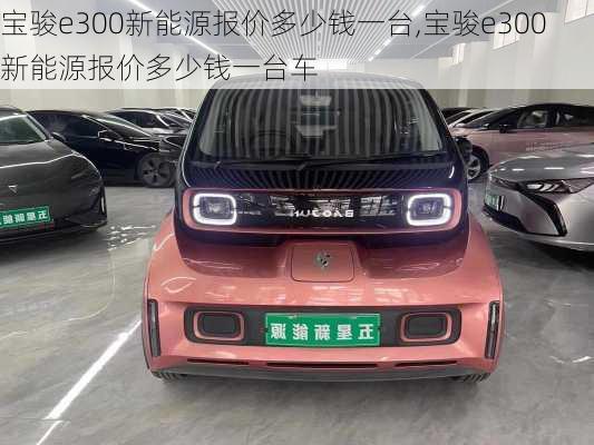 宝骏e300新能源报价多少钱一台,宝骏e300新能源报价多少钱一台车-第3张图片-苏希特新能源