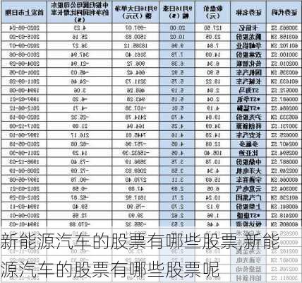 新能源汽车的股票有哪些股票,新能源汽车的股票有哪些股票呢-第1张图片-苏希特新能源