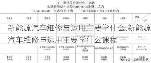 新能源汽车维修与运用主要学什么,新能源汽车维修与运用主要学什么课程-第1张图片-苏希特新能源