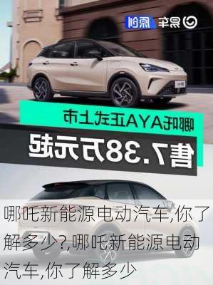 哪吒新能源电动汽车,你了解多少?,哪吒新能源电动汽车,你了解多少-第2张图片-苏希特新能源