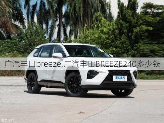 广汽丰田breeze,广汽丰田BREEZE240多少钱