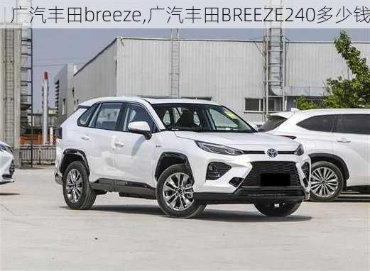 广汽丰田breeze,广汽丰田BREEZE240多少钱-第2张图片-苏希特新能源