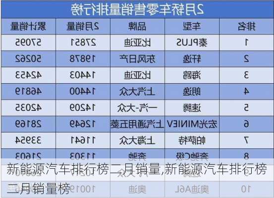 新能源汽车排行榜二月销量,新能源汽车排行榜二月销量榜-第2张图片-苏希特新能源