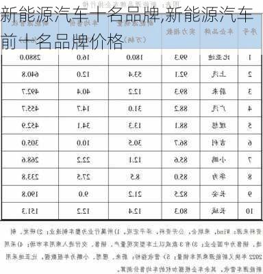 新能源汽车十名品牌,新能源汽车前十名品牌价格-第3张图片-苏希特新能源