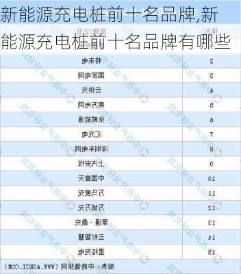 新能源充电桩前十名品牌,新能源充电桩前十名品牌有哪些-第3张图片-苏希特新能源